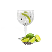 Reusable 600ml PC Gin Cup (1 Unit)